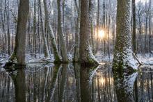 Światowy Dzień Mokradeł